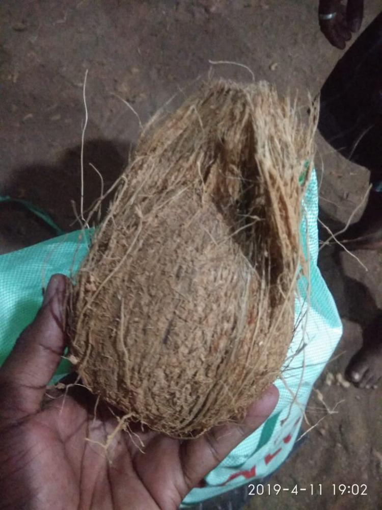 Virgin Coconut Oil