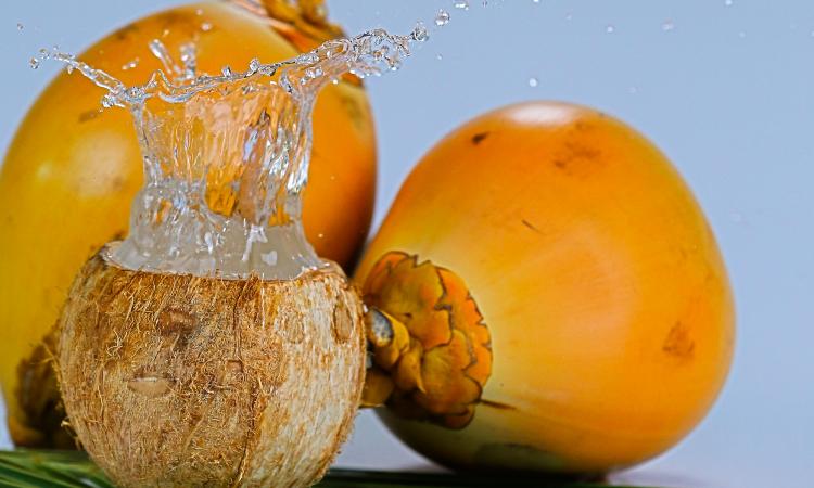 Virgin Coconut Oil