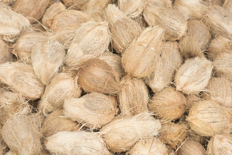 Virgin Coconut Oil
