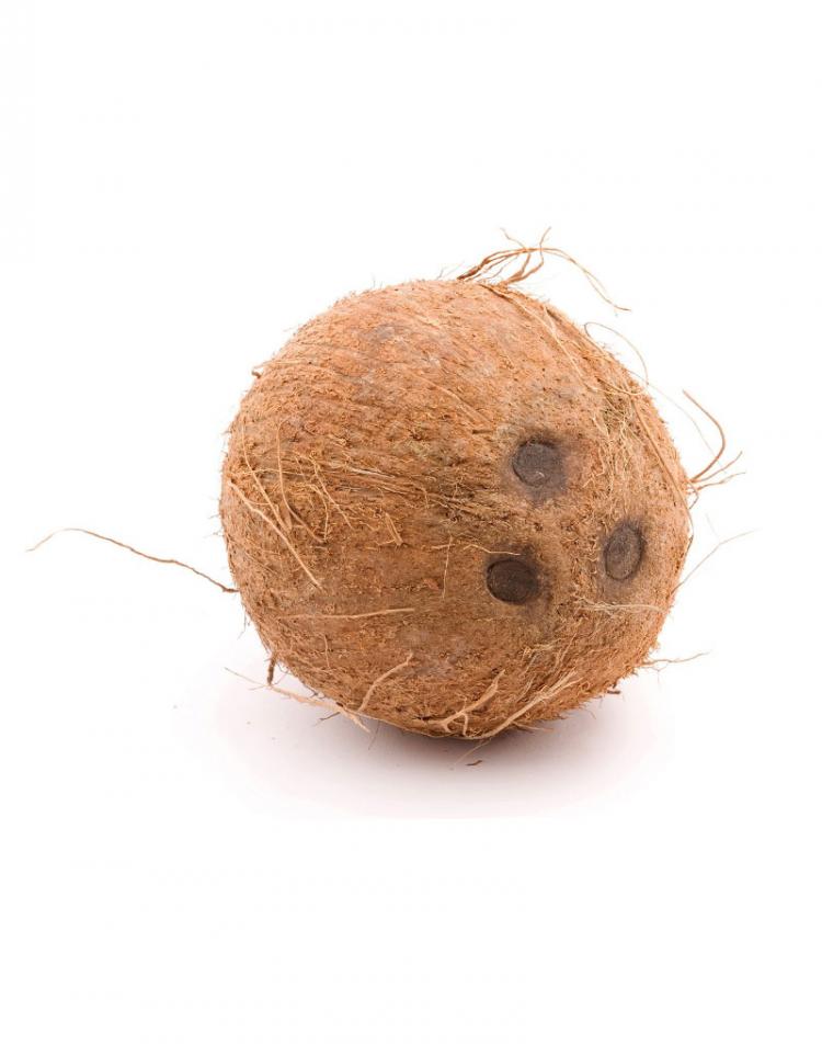 Virgin Coconut Oil